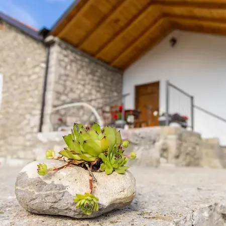 Appartement Old House Piperi