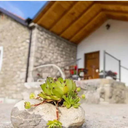 Old House Piperi